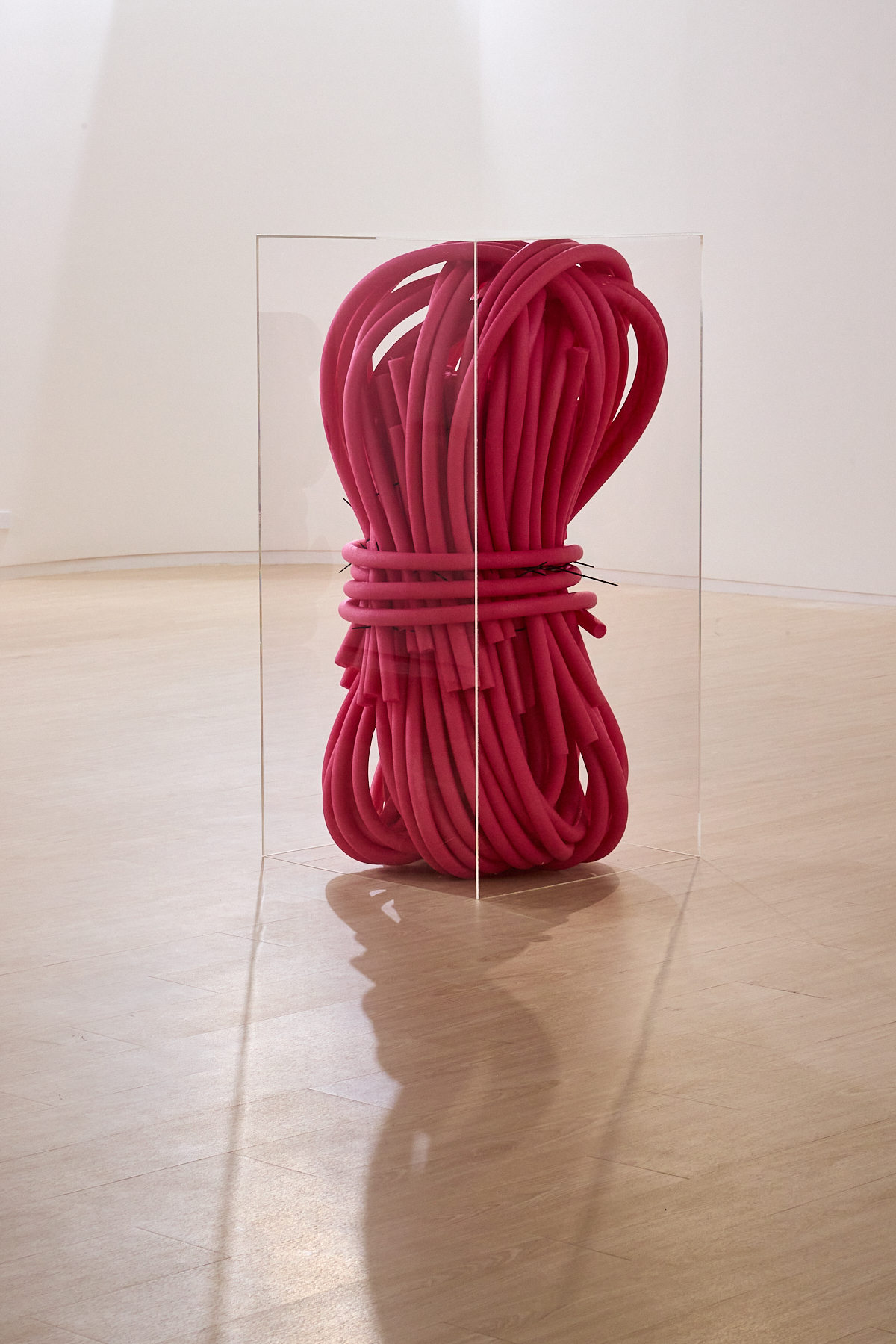 We are living in a room installation by oneg - mixed media exploring body exterior and interior duality